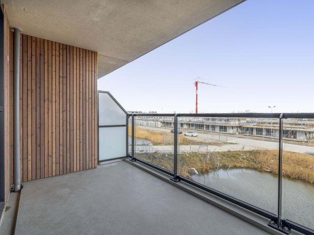 Foto van Korenwolf 10