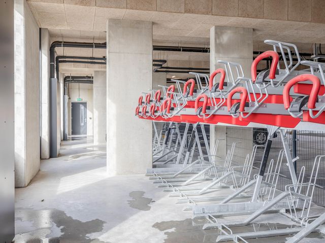 Foto van Korenwolf 10