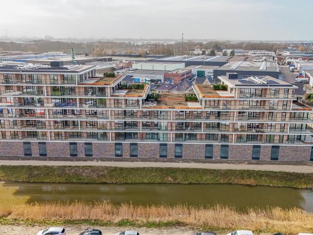 Foto van Korenwolf 10