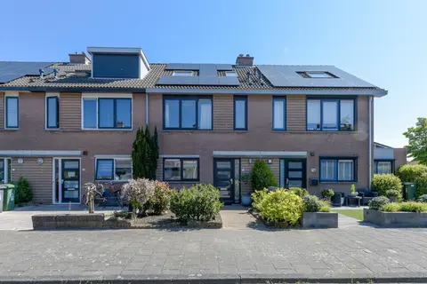 Magnolia 19