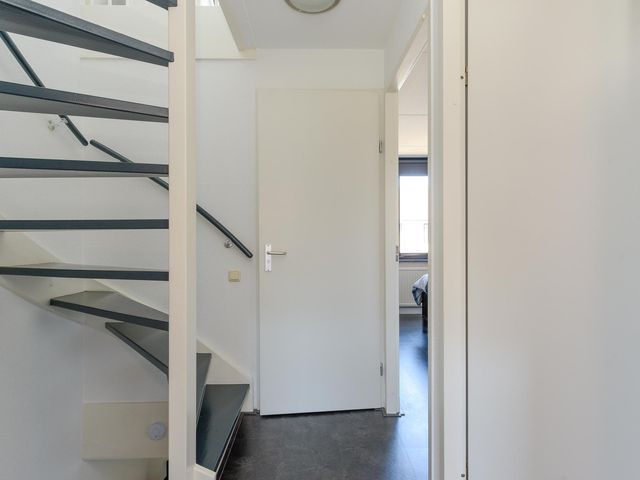 Foto van Magnolia 19