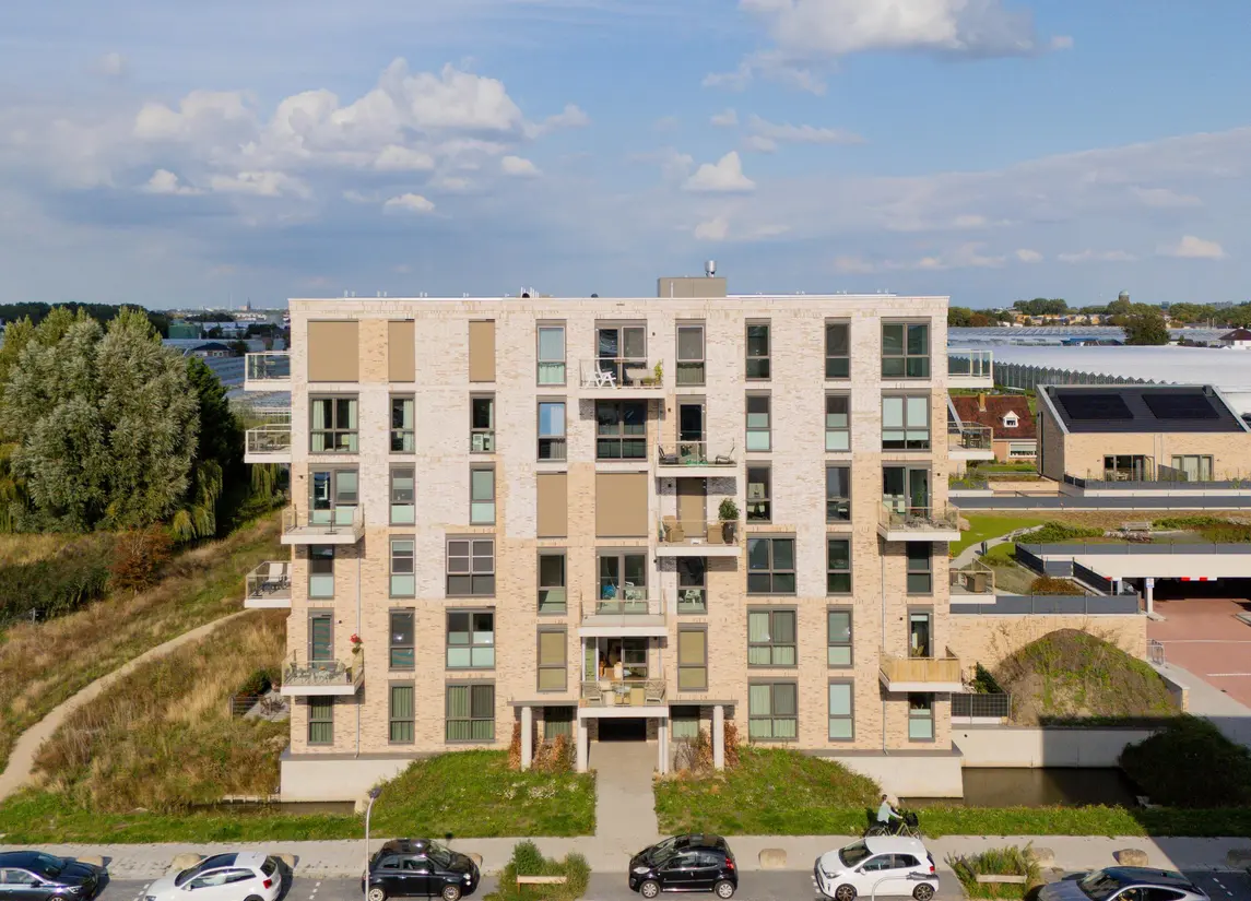 Fluwijn 525