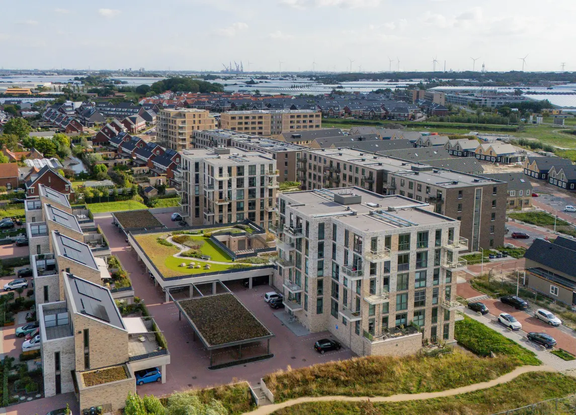 Fluwijn 525