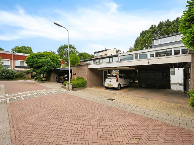 Foto van Hazelaar 20