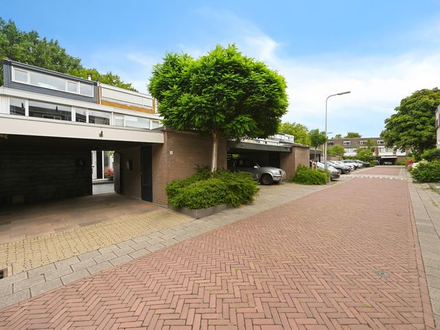 Foto van Hazelaar 20