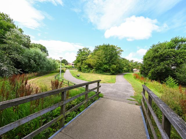 Foto van Hazelaar 20