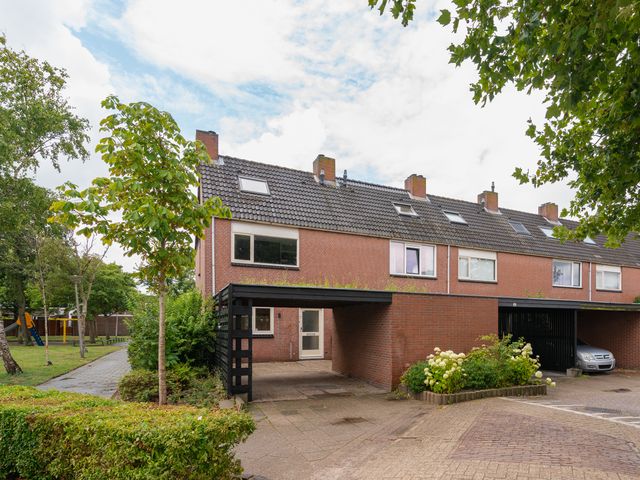 Foto van Beryl 38