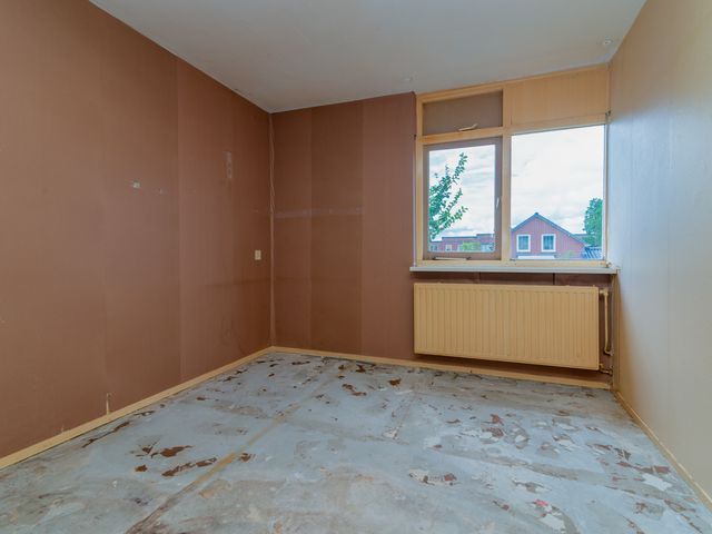 Foto van Beryl 38