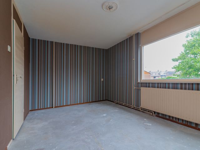 Foto van Beryl 38