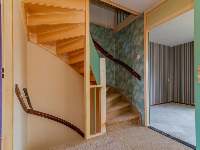 Foto van Beryl 38