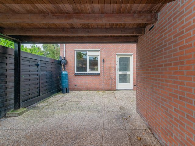 Foto van Beryl 38