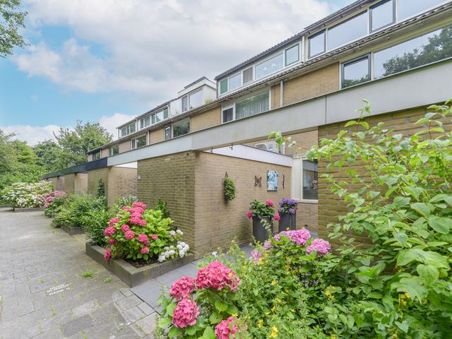 Foto van Uitterlier 25