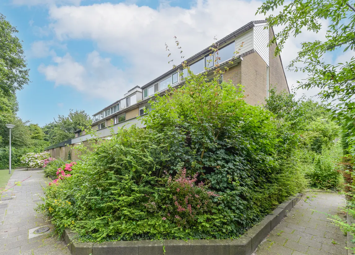 Uitterlier 25