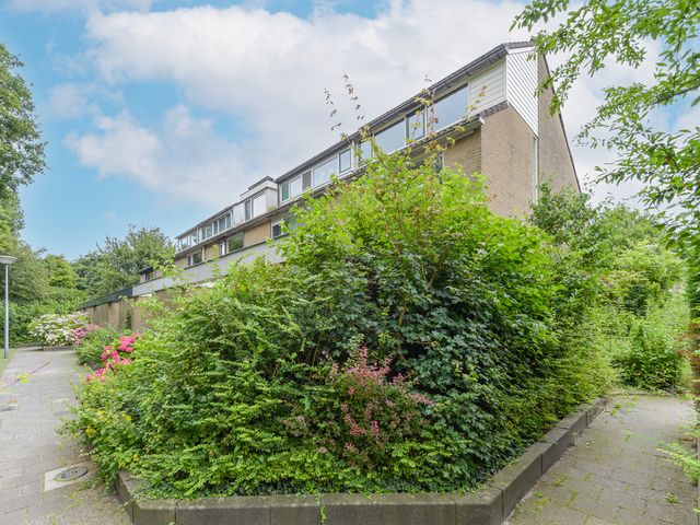 Foto van Uitterlier 25