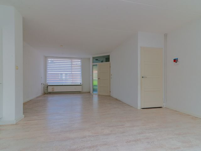 Foto van Gerbera 6