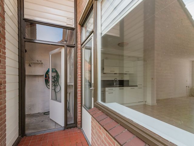 Foto van Gerbera 6