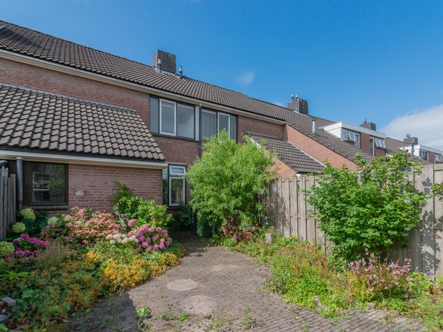 Foto van Gerbera 6