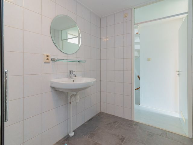 Foto van Gerbera 6