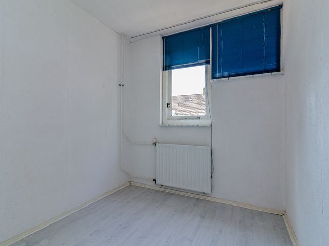 Foto van Gerbera 6