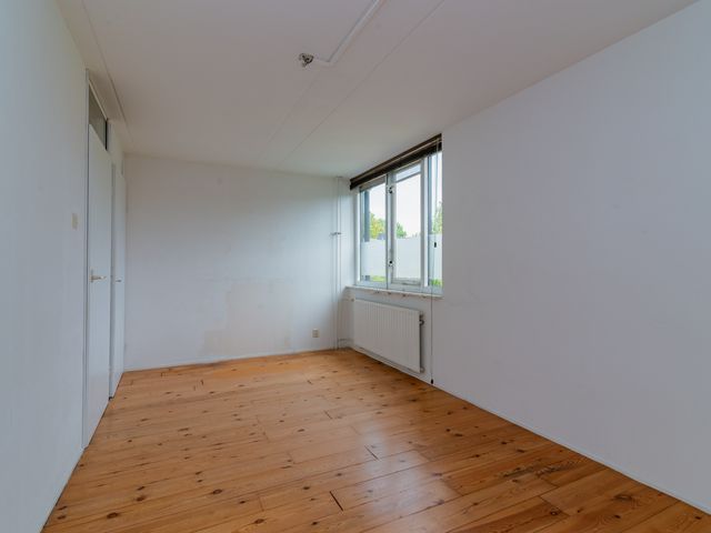 Foto van Gerbera 6