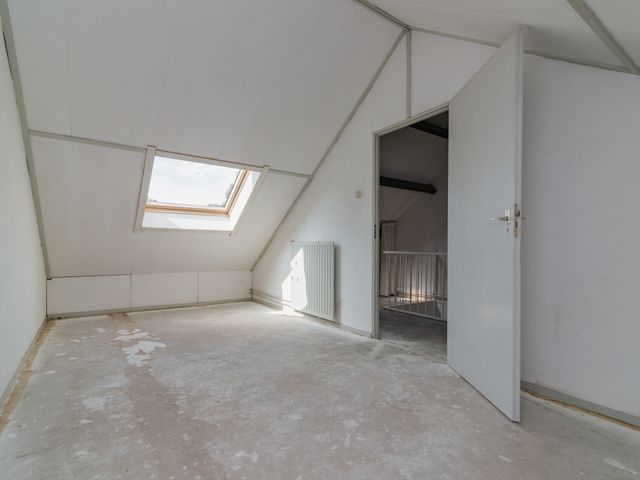 Foto van Gerbera 6