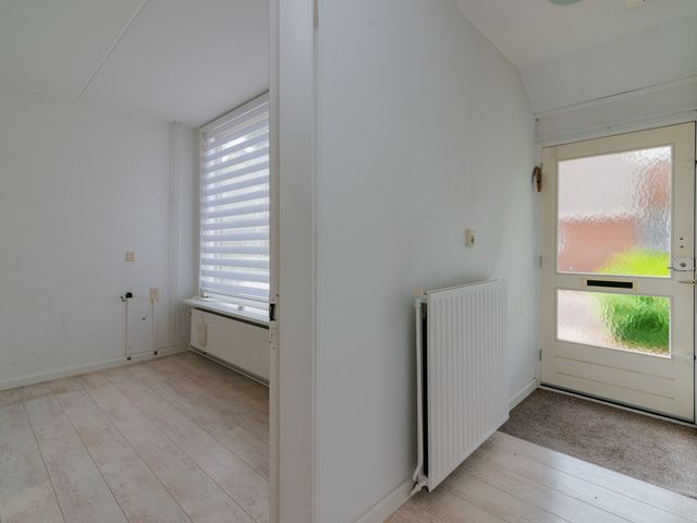 Foto van Gerbera 6