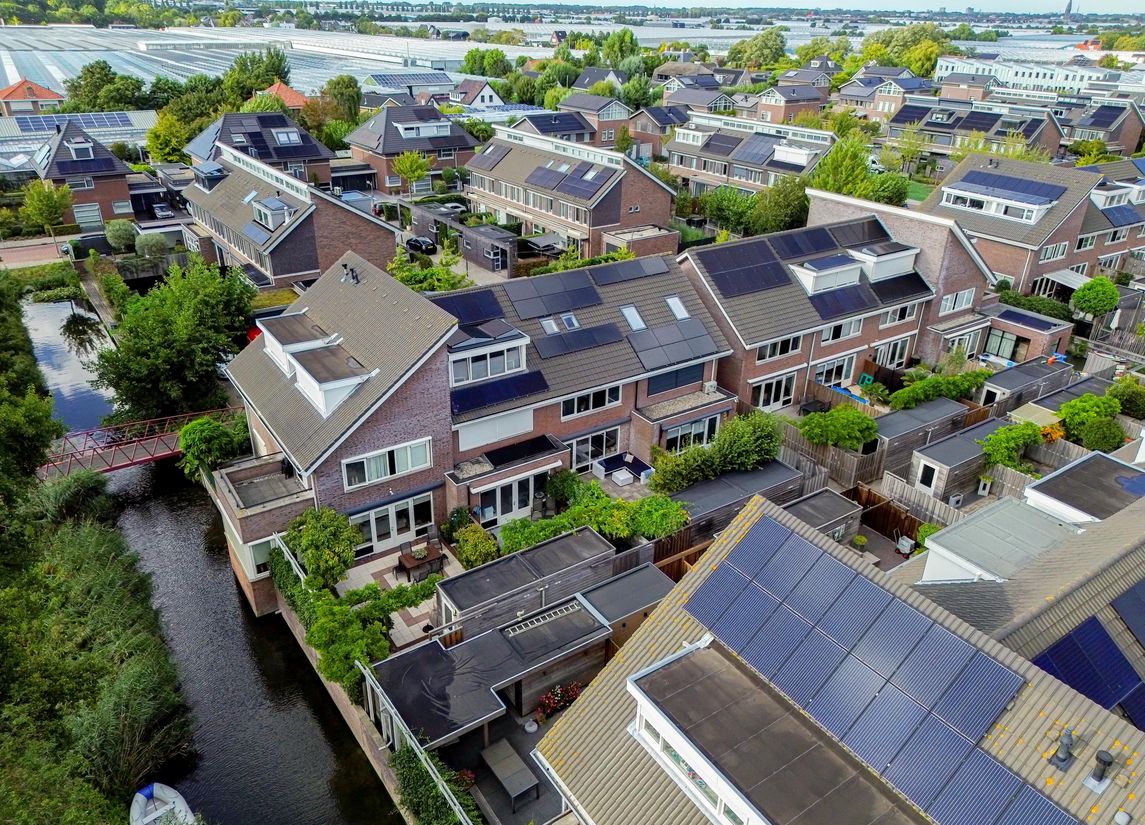 Snaveldolfijn 6