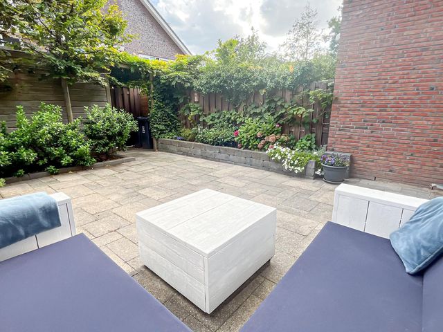 Foto van Snaveldolfijn 6