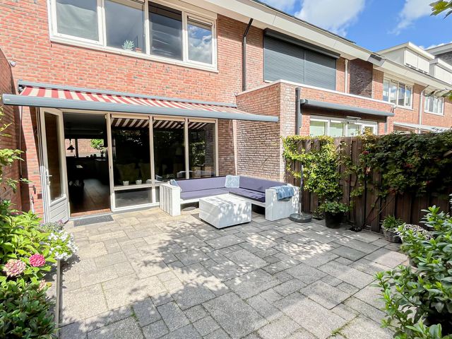 Foto van Snaveldolfijn 6