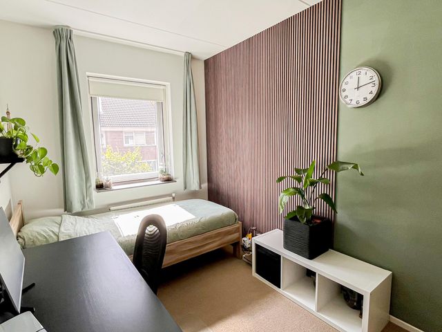 Foto van Snaveldolfijn 6