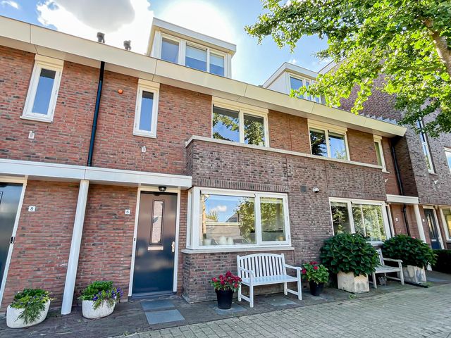 Foto van Snaveldolfijn 6