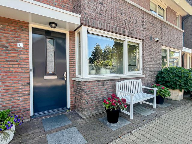 Foto van Snaveldolfijn 6