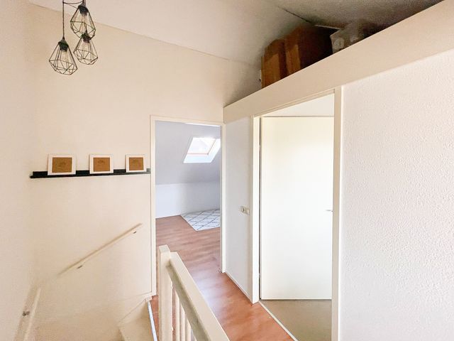 Foto van Snaveldolfijn 6