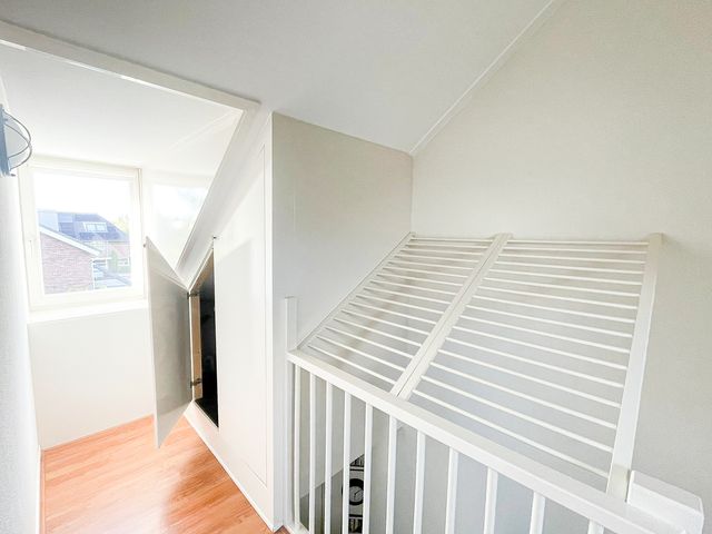Foto van Snaveldolfijn 6
