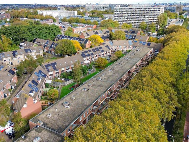 Foto van Escamplaan 987