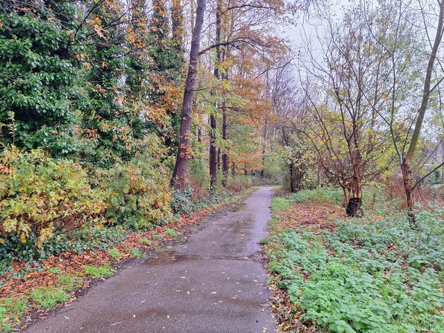 Foto van Tasmanweg 92