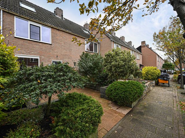 Foto van Heliotroop 76