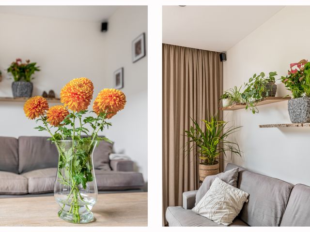 Foto van Professor Holwerdalaan 73