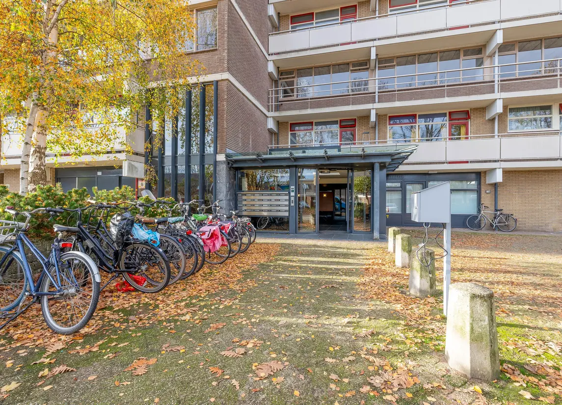 De Brink 824