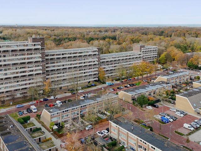 Foto van De Brink 824