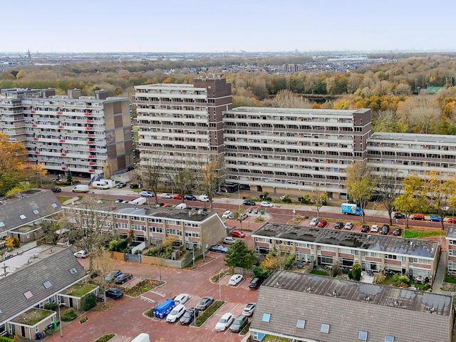 Foto van De Brink 824