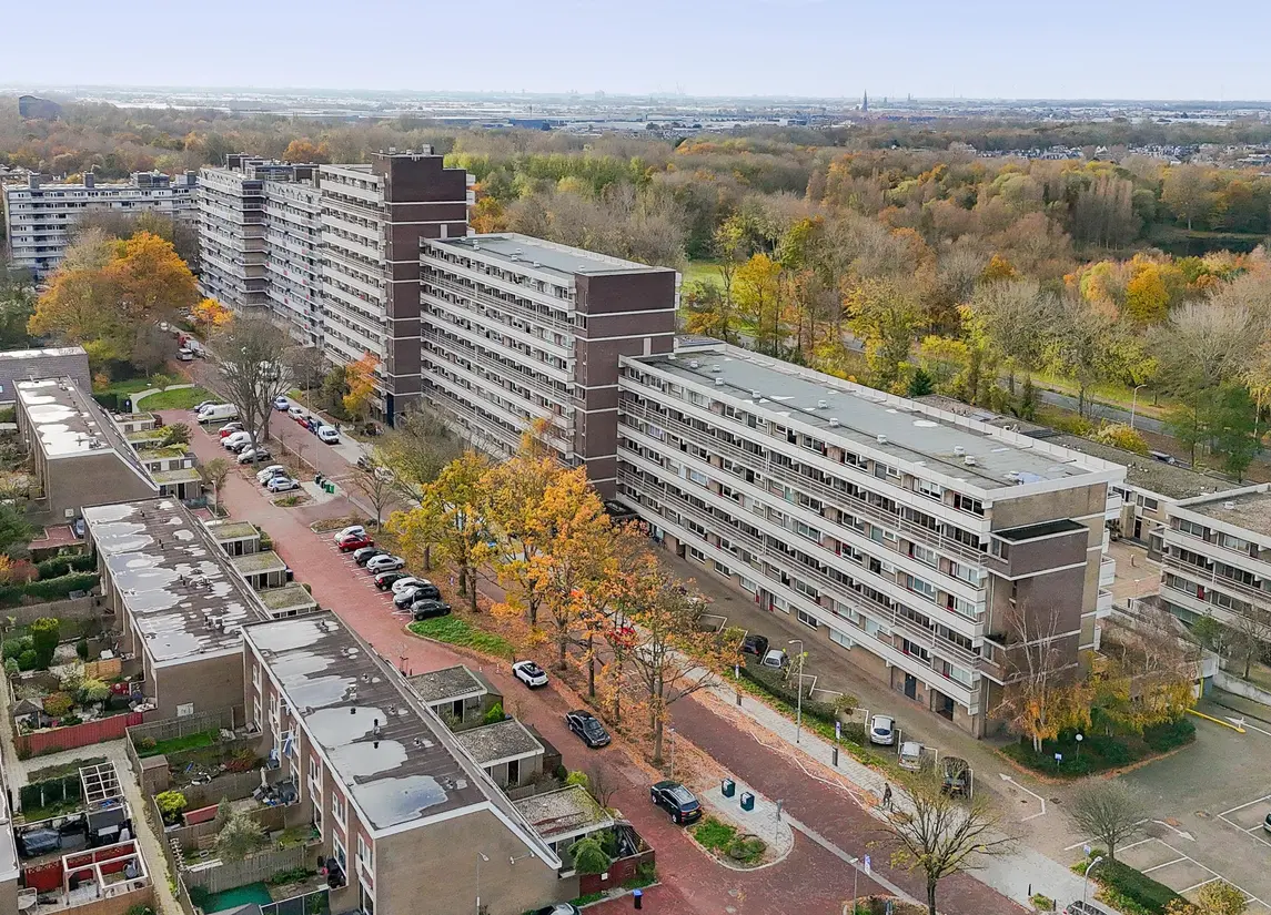 De Brink 824