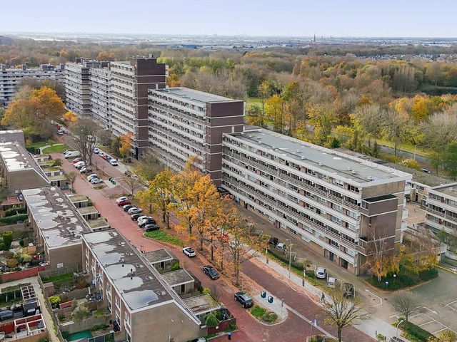 Foto van De Brink 824