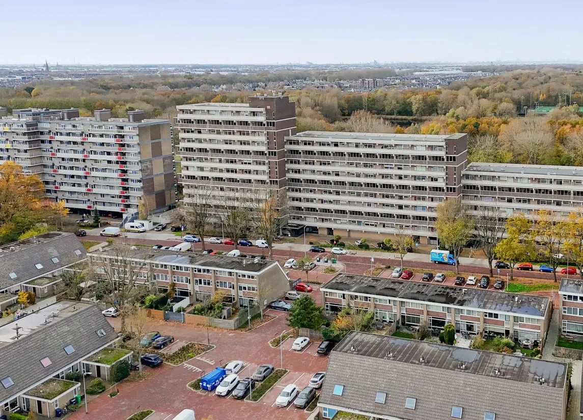 De Brink 824