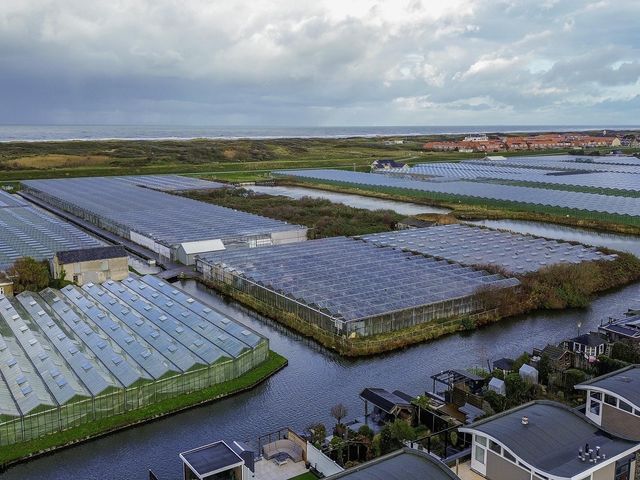 Foto van Duinvallei 3