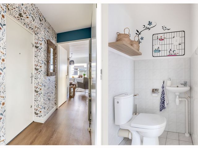 Foto van Duinvallei 3