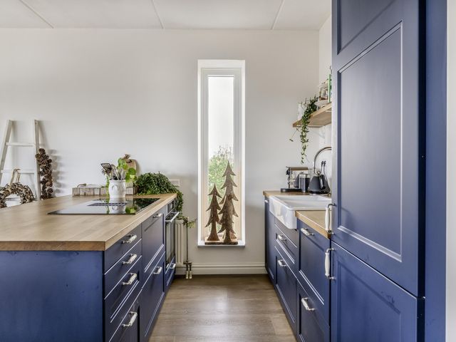 Foto van Duinvallei 3