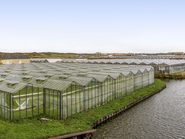 Foto van Duinvallei 3