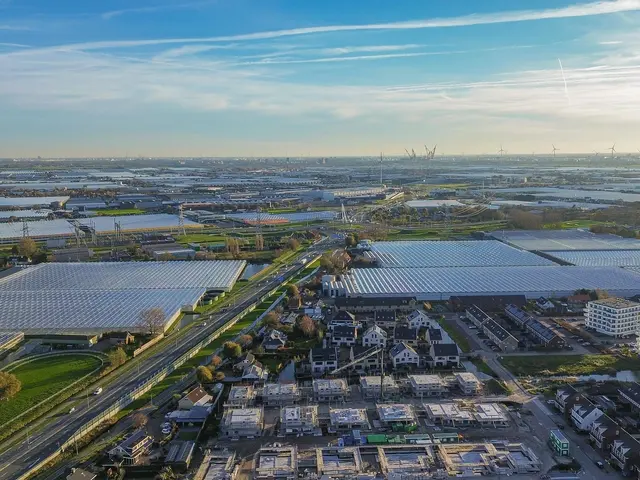 Foto van Druivenstraat 8