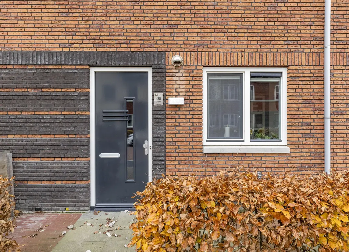 Vuurvlinder 30